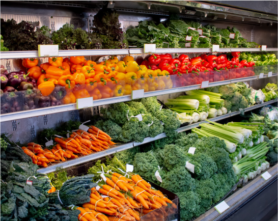 How Ahmedabad Is Emerging as a Hub for Dehydrated Vegetable Manufacturers